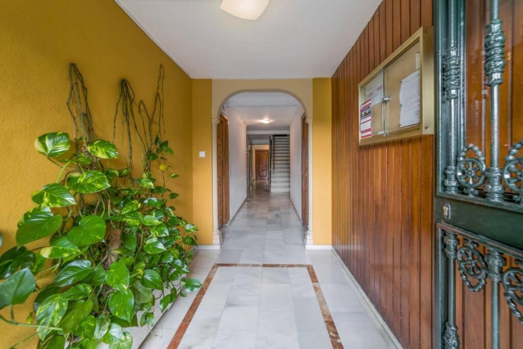 דירות Iloftmalaga Urb. Bejar - בנאלמדנה מראה חיצוני תמונה
